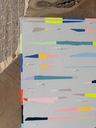 IMG_2585.webp