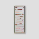 Peelings - Trustworthy